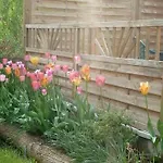 Lotti By Interhome * ブロターオーデ