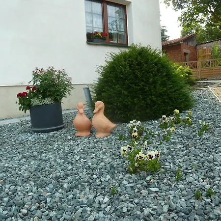 Appartement Lotti By Interhome