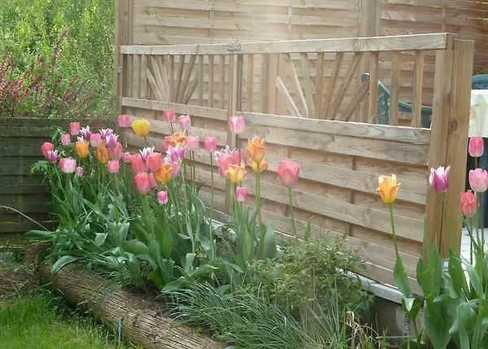 Lotti By Interhome * Brotterode